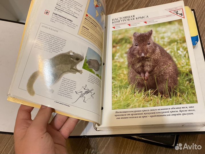 В мире дикой природы