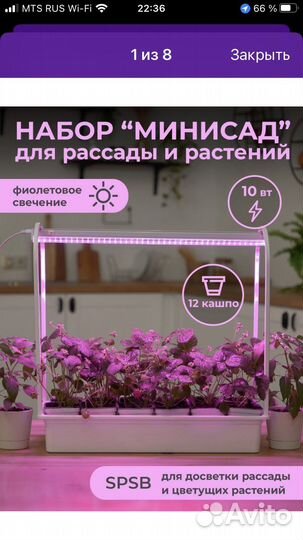 Набор для выращивания микрозелени и рассады