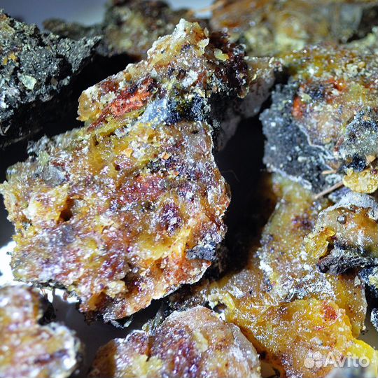 Смола, сосновая живица, неочищенная