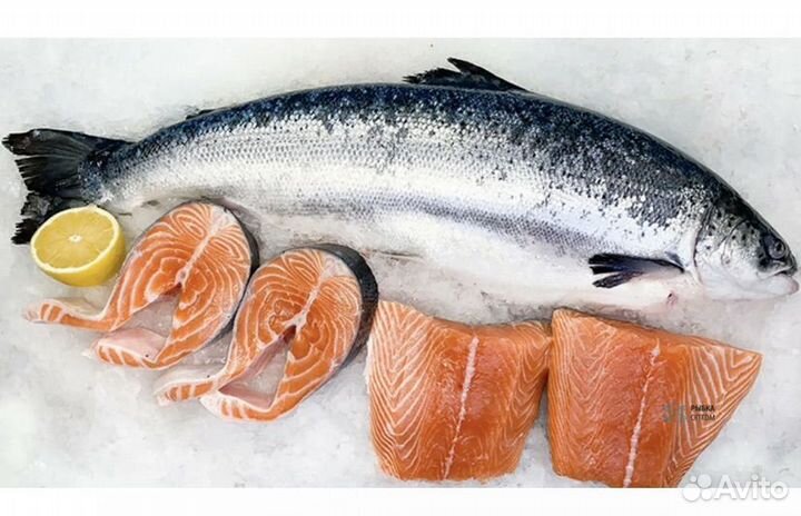 Семга охлажденная