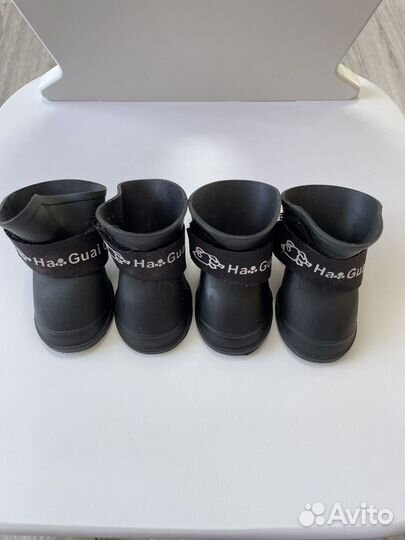 Обувь для собак мелких пород