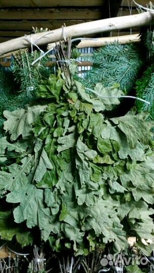 Веники Банные