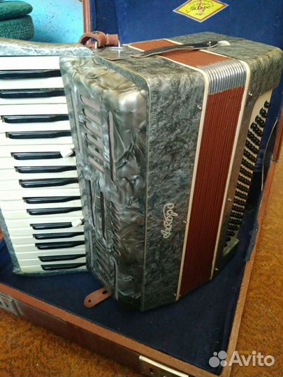 Аккордеон 