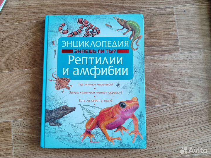 Энциклопедия для детей рептилии и амфибии