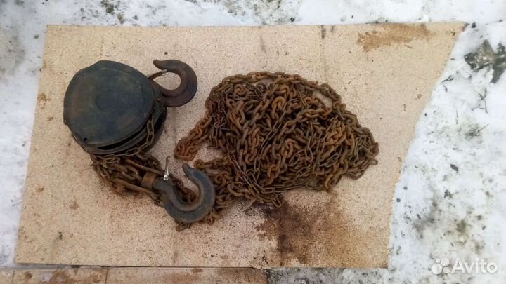 Талька цепная