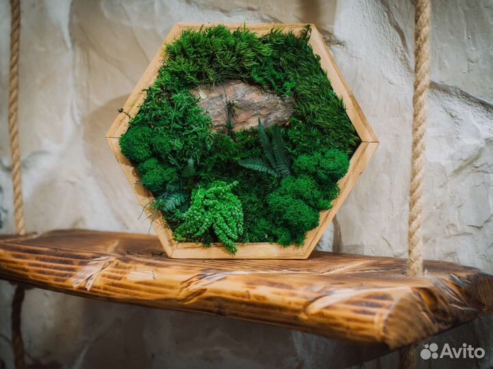 Сота со стабилизированным мхом