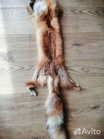 Шкура лисы
