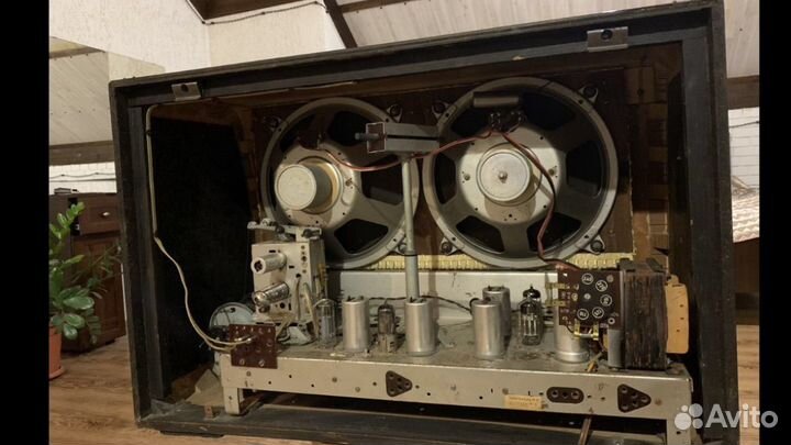 Saba permadyn blackcone