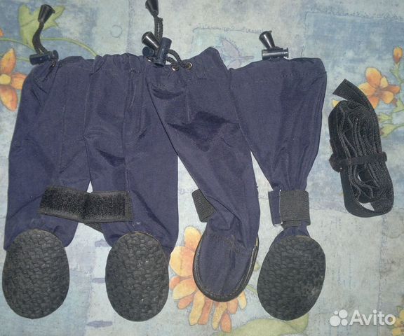 Ботинки для собаки