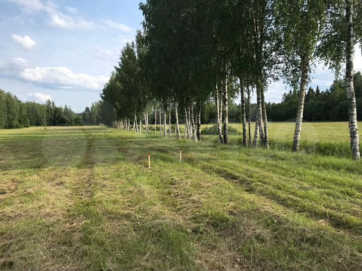 Участок 10 сот. (ИЖС)