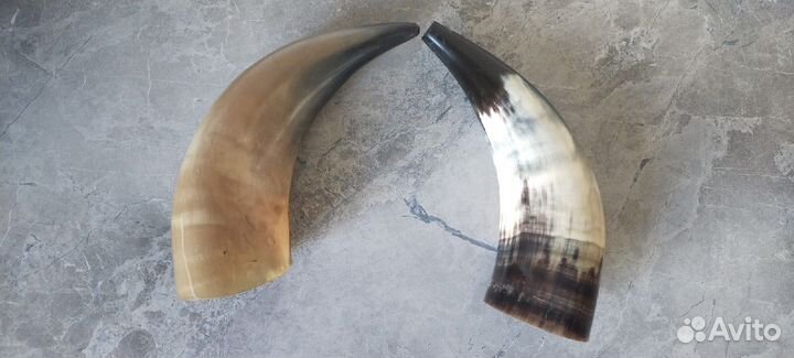 Коровьи рога