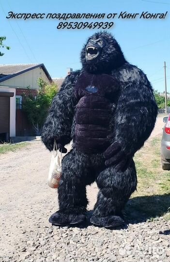 Аниматор /Поздравление /Ростовые куклы