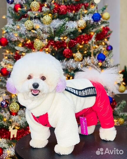 Одежда для собак всех пород