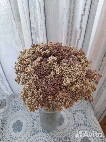 Травы лечебные