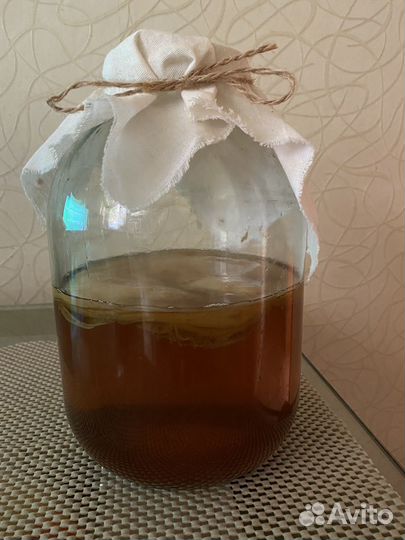 Чайный гриб комбуча