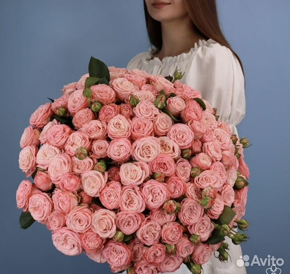 Кустовые Пионовидные розы кремовые Мадам Бомбастик