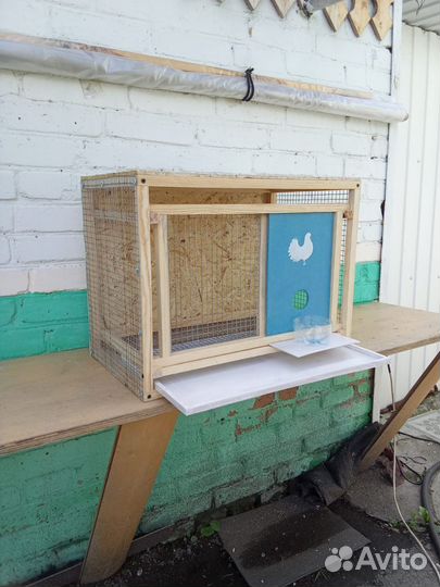 Инвентарь для голубей