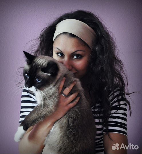 Передержка животных