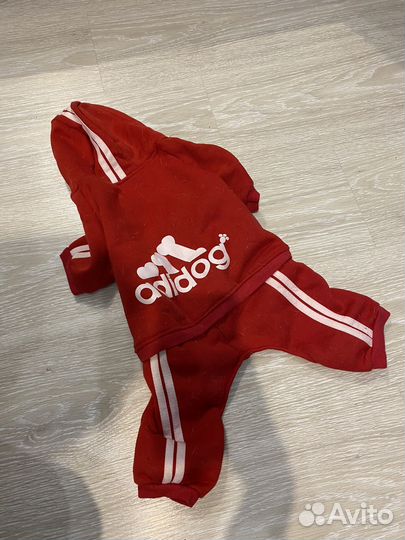 Одежда для собак мелких пород