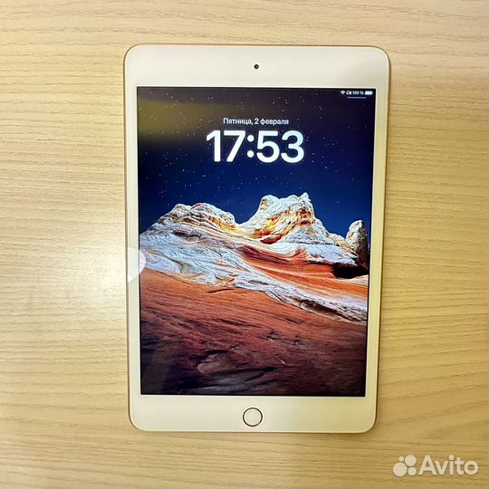 iPad mini 5 64gb wifi в идеале + чехол