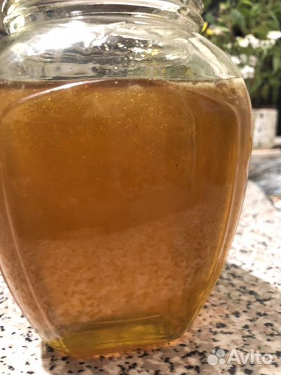 Мёд молодой. Луговой