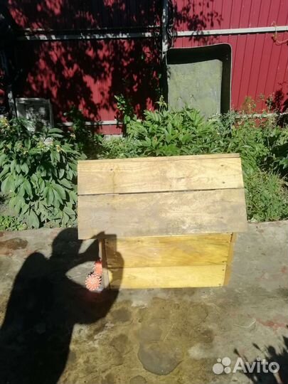 Собачья будка