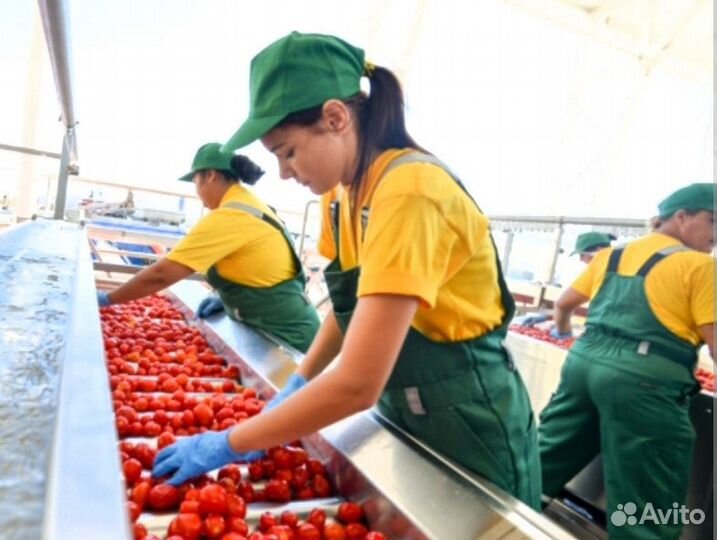 Разнорабочий/Вахта/Абинск/Без опыта