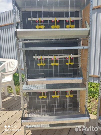 Клетки для бройлеров бу