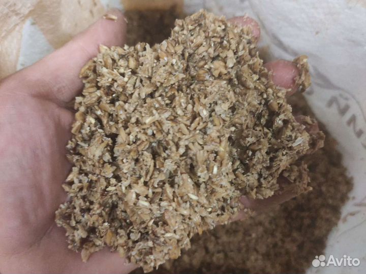 Пивная дробина (солодовая). Корм для скота, птицы