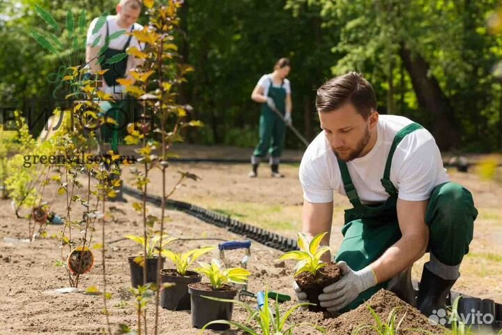 Разнорабочий с ежедневной оплатой
