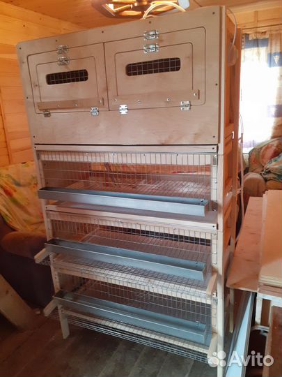 Мини ферма для перепелов