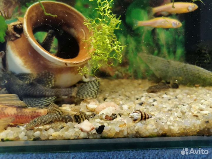 Украшение для аквариума