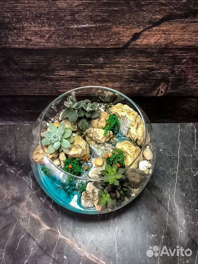 Флорариум. Подарок