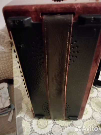 Аккордеон юность 1/2