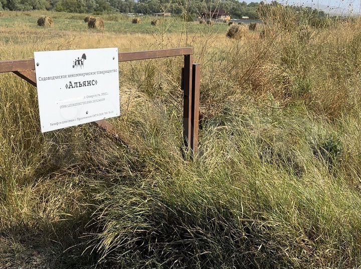 Участок 1,2 га (СНТ, ДНП)