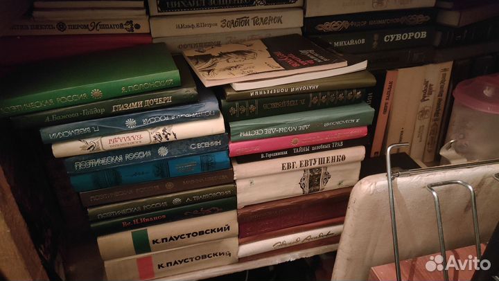 Книги школьная литература классика