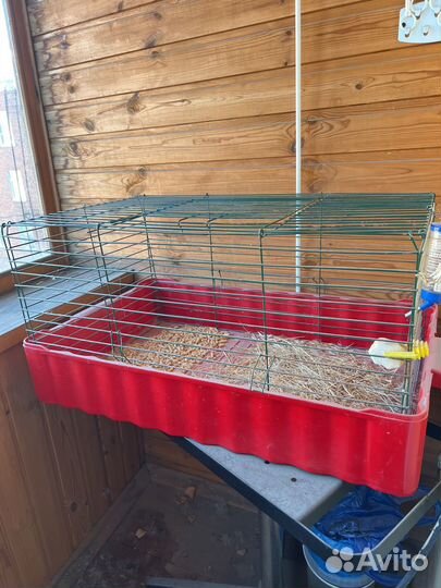 Клетка для декоративного кролика
