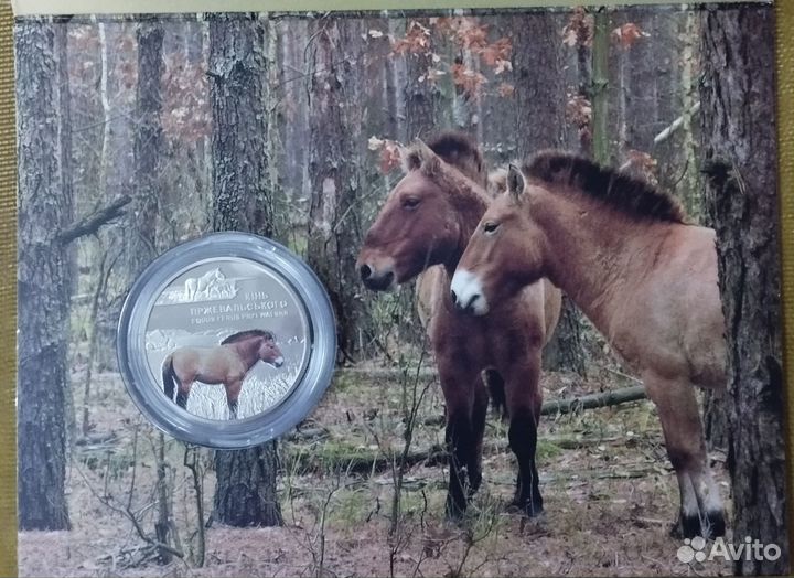 5 гривен 2021 год Лошадь Преживальского