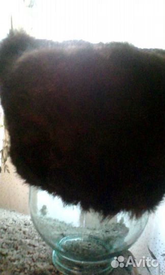 Шапка норковая мужская