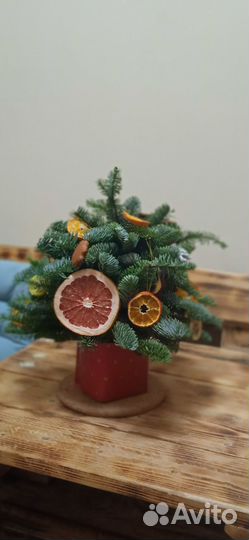 Новогодние композиции из Нобилиса