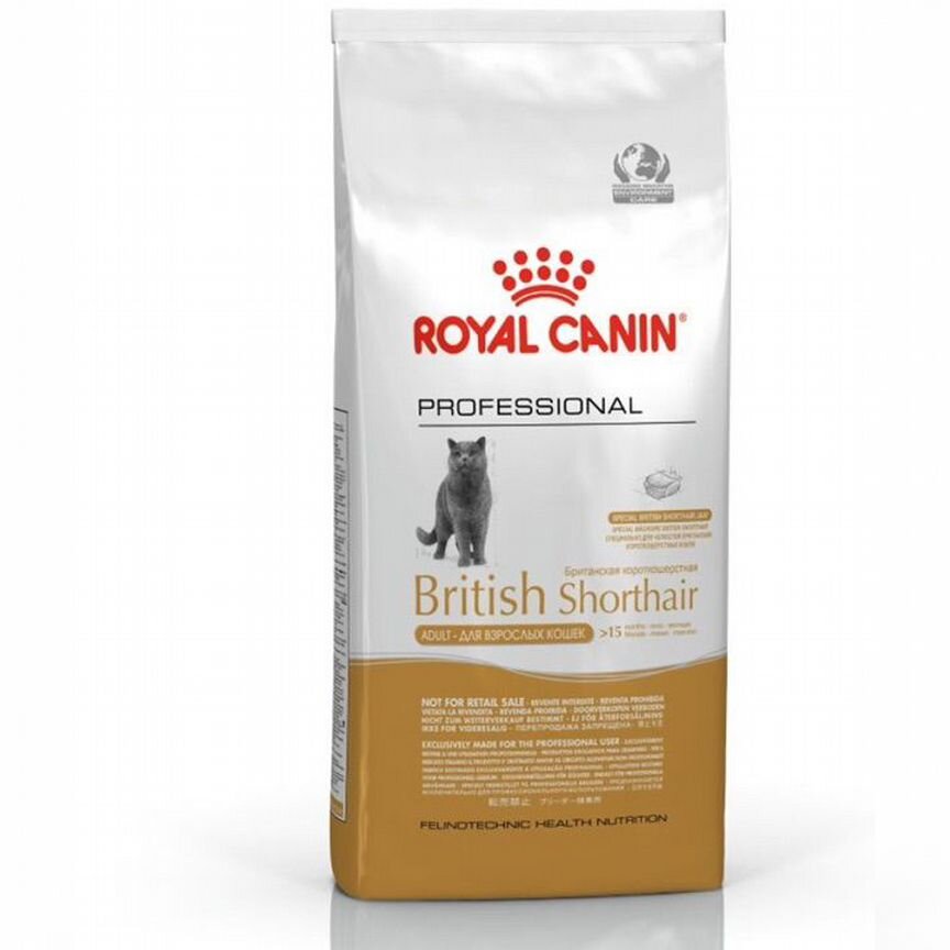 Royal canin british