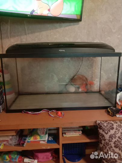 Аквариум