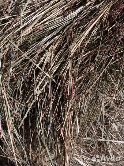 Сено на корм,подстилки животным, в огород