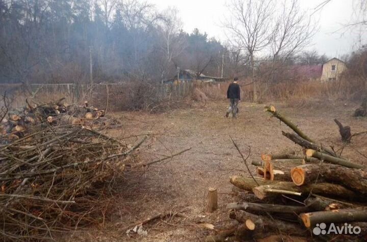 Измельчитель веток BX 42 B