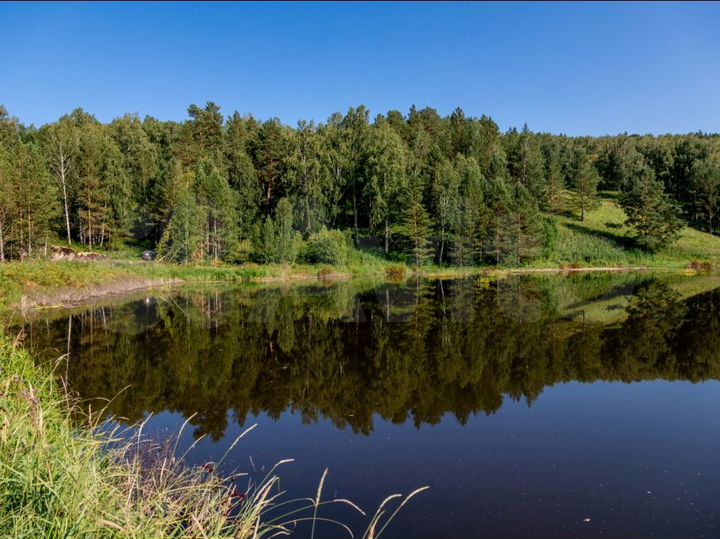 Участок 15 сот. (ИЖС)