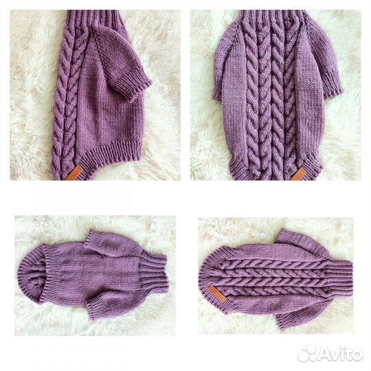 Одежда для собак