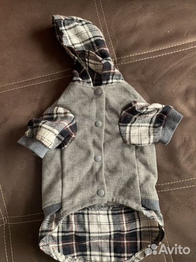 Одежда для животных