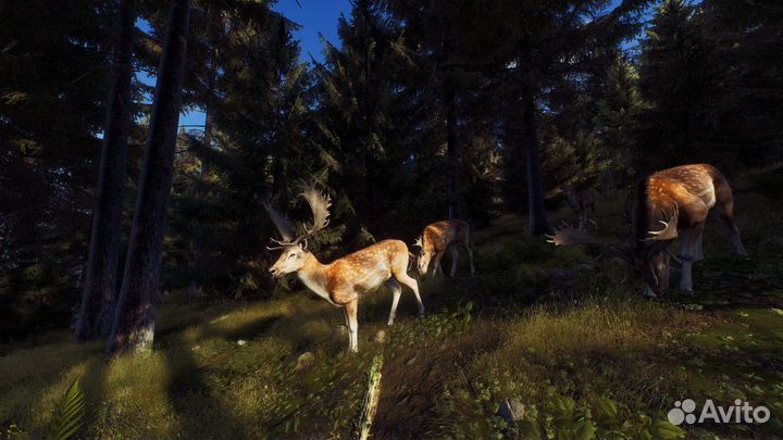 Way of the Hunter (Steam)