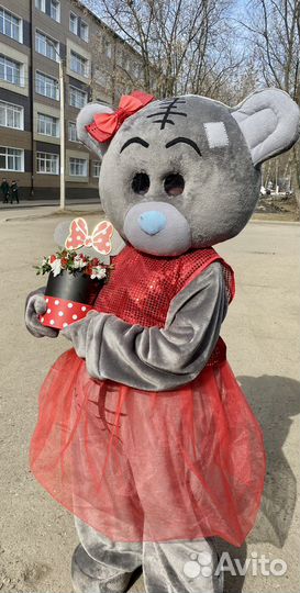 Экспресс поздравление