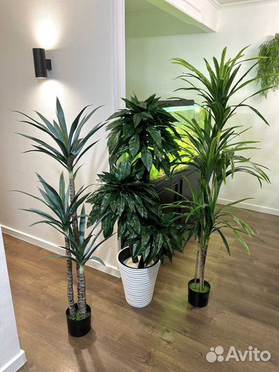 Озеленение помещений от 50 м2 / офисы / кафе